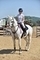 Roma Wood and Black Shore Storm Fly to Victory at CCR Equestrian 